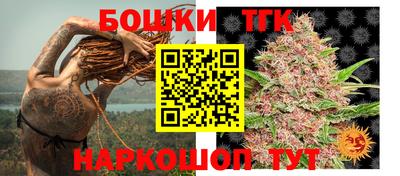 стафф Будённовск
